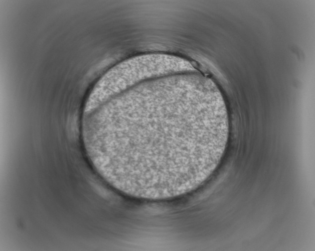 X0000113600489200910161909