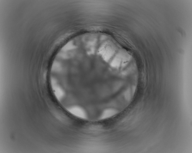 X0000113600491200910161909