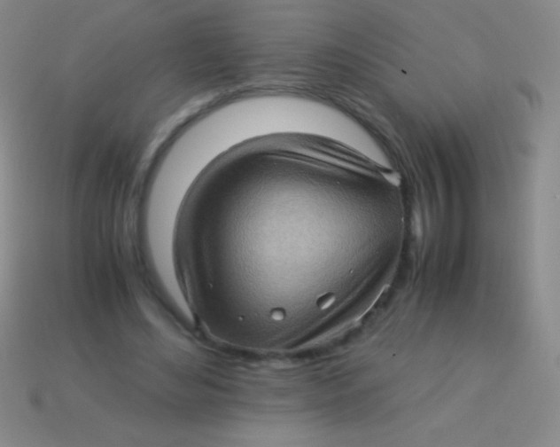 X0000113600492200910161909