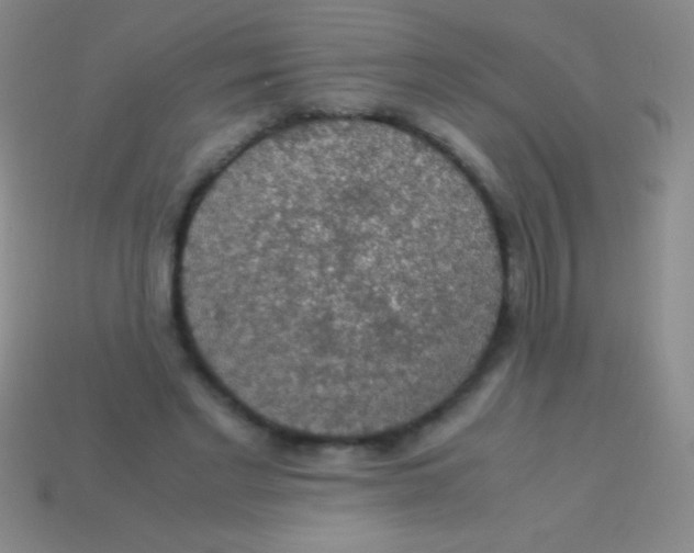 X0000113600493200910161909