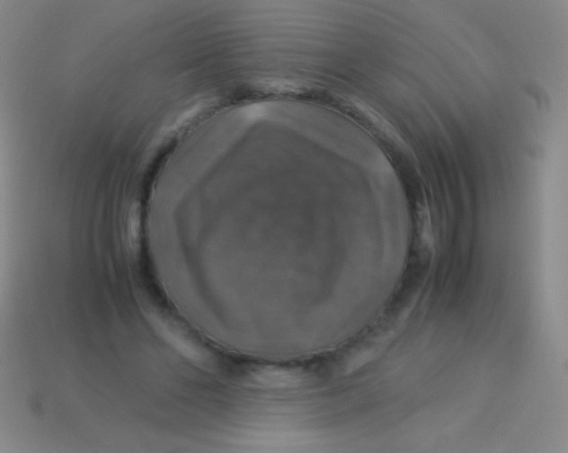 X0000113600494200910161909