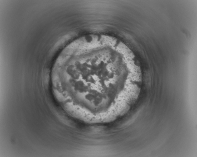 X0000113600495200910161909