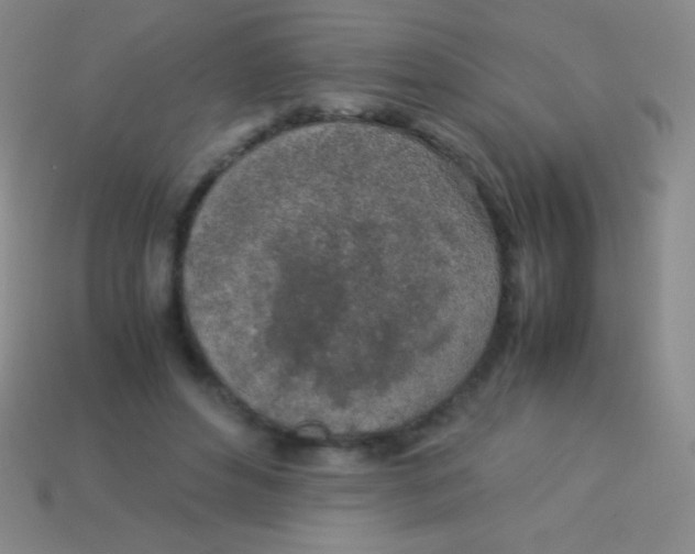 X0000113600496200910161909