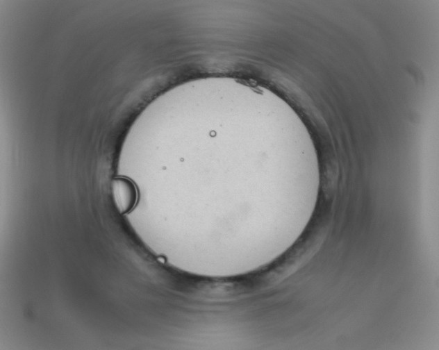 X0000113600497200910161909