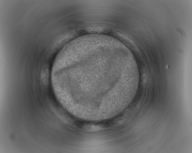 X0000113600498200910161909