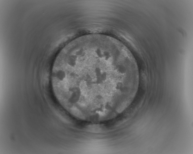 X0000113600499200910161909