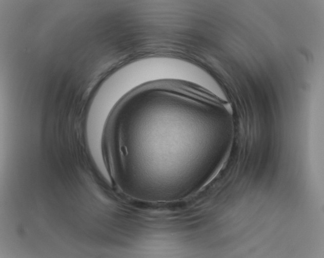 X0000113600500200910161909