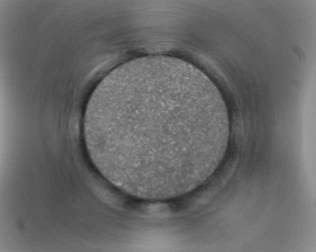 X0000113600501200910161909