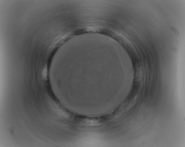 X0000113600502200910161909