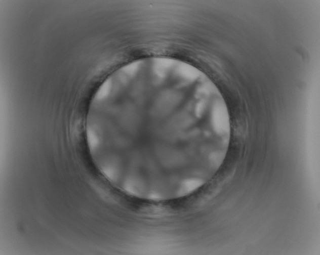 X0000113600503200910161909