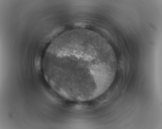 X0000113600504200910161909