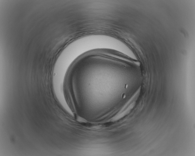 X0000113600505200910161909