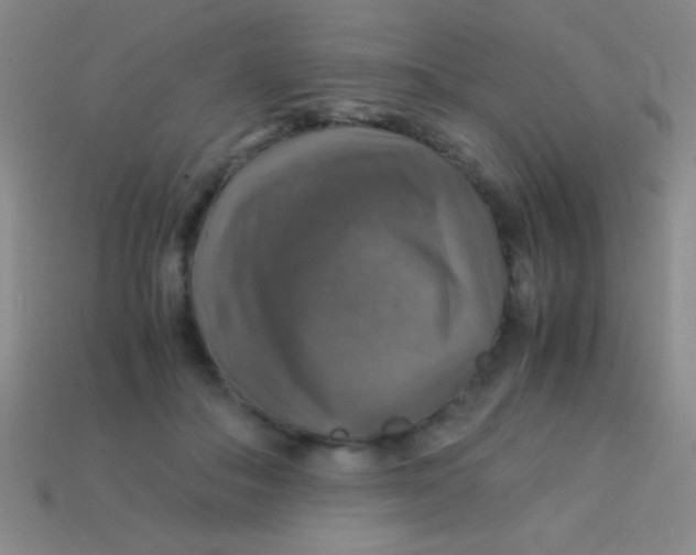 X0000113600506200910161909