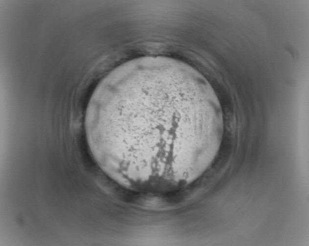 X0000113600507200910161909