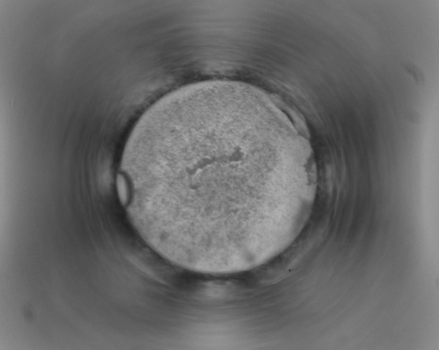 X0000113600508200910161908