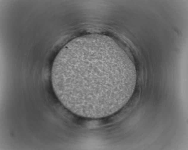 X0000113600513200910161908