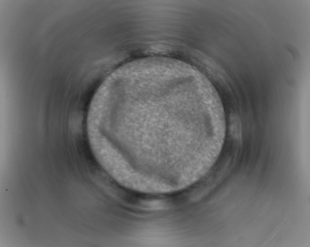 X0000113600514200910161908