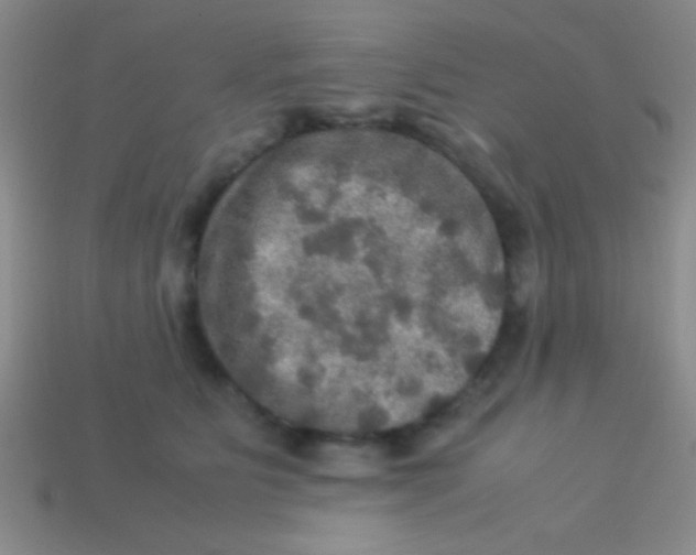 X0000113600515200910161908