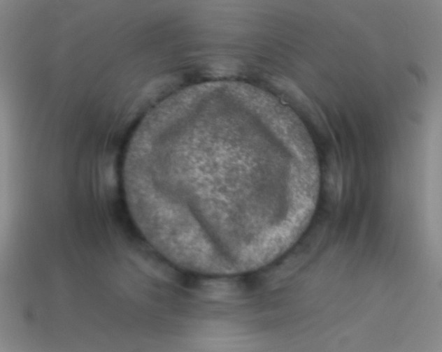 X0000113600516200910161908