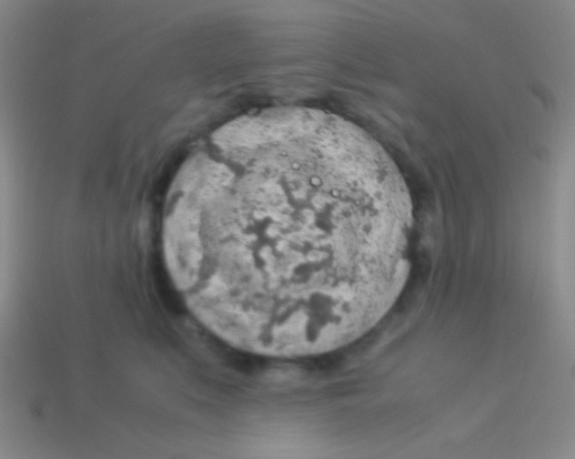 X0000113600519200910161908