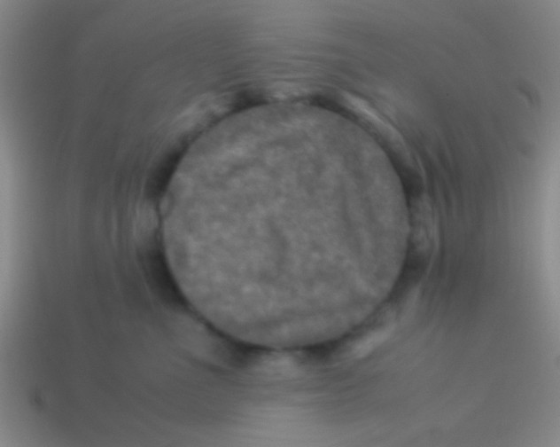 X0000113600523200910161908