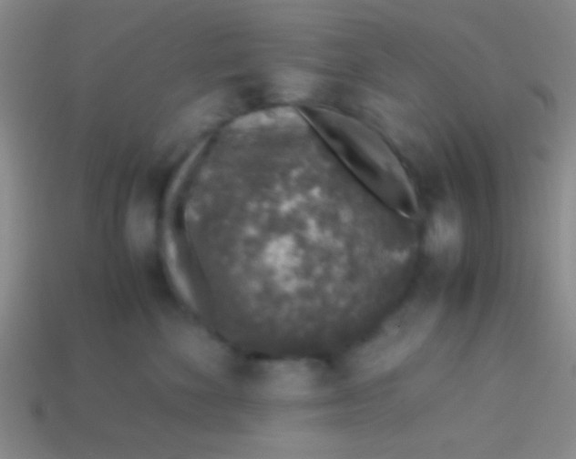 X0000113600524200910161908