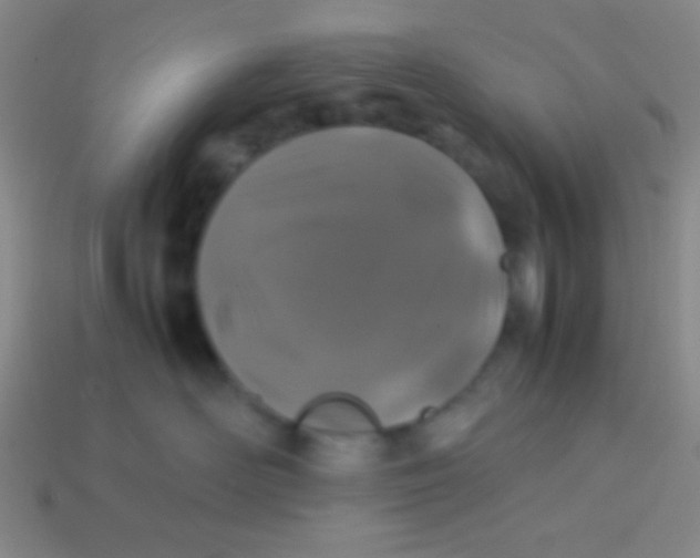 X0000113600526200910161908