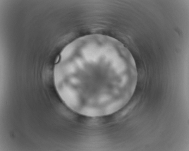 X0000113600527200910161908