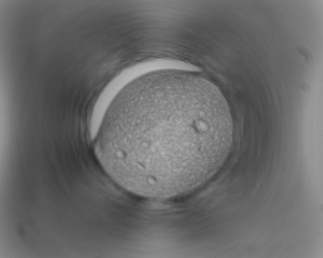 X0000113600528200910161908