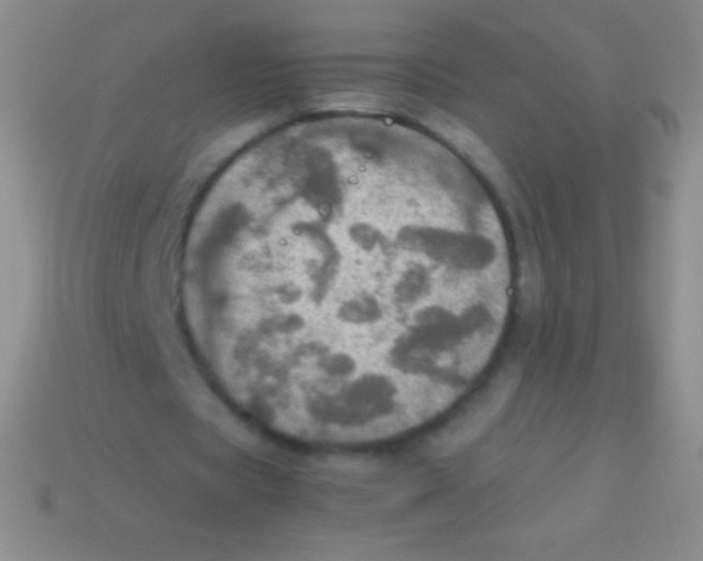 X0000113600529200910161908