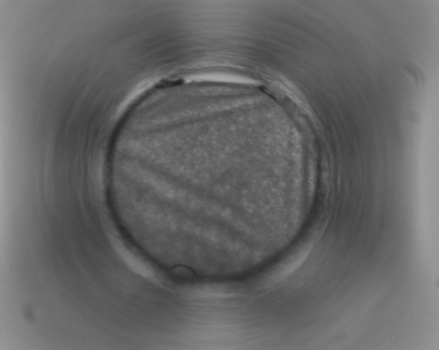 X0000113600530200910161908