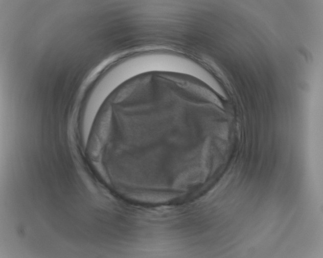 X0000113600532200910161908