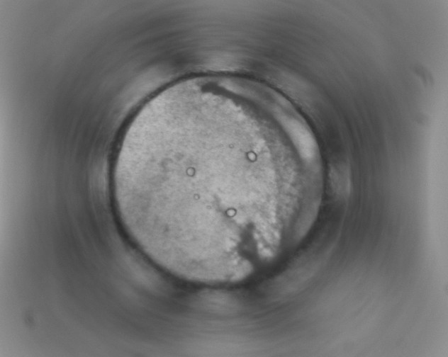 X0000113600534200910161908