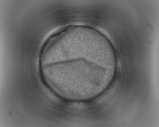 X0000113600535200910161908