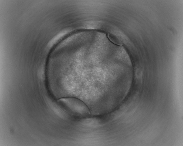 X0000113600536200910161908