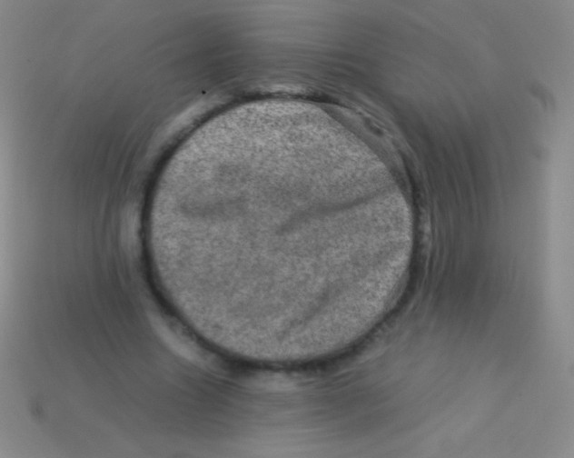 X0000113600538200910161908