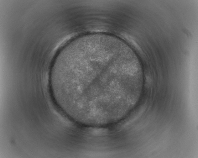 X0000113600539200910161908