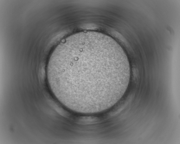 X0000113600541200910161908