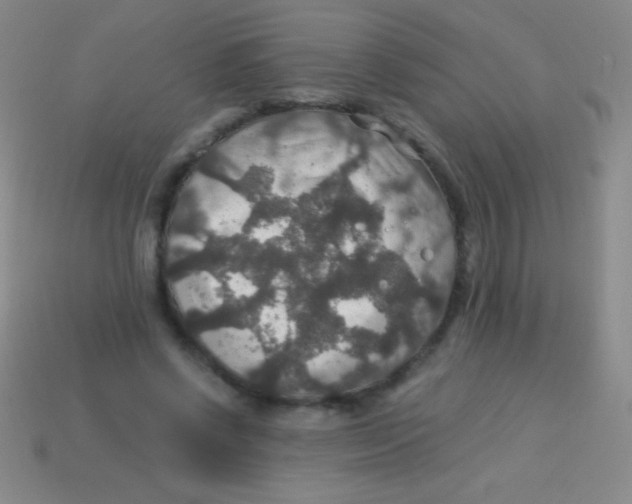 X0000113600542200910161908