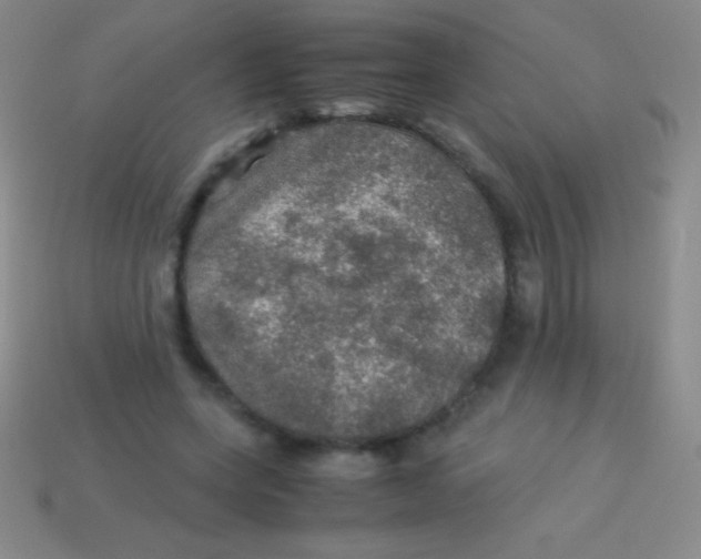 X0000113600543200910161908