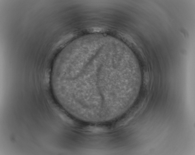 X0000113600545200910161908