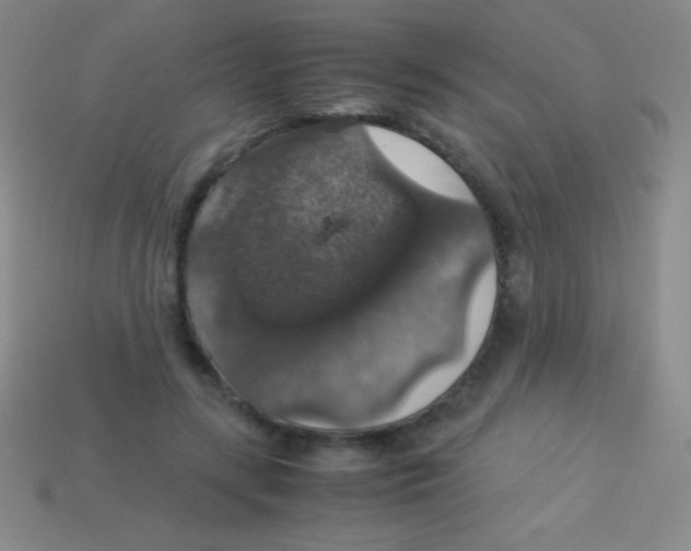 X0000113600547200910161908