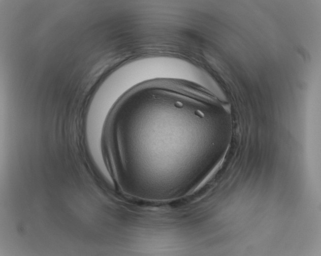 X0000113600548200910161908