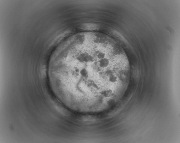 X0000113600549200910161908