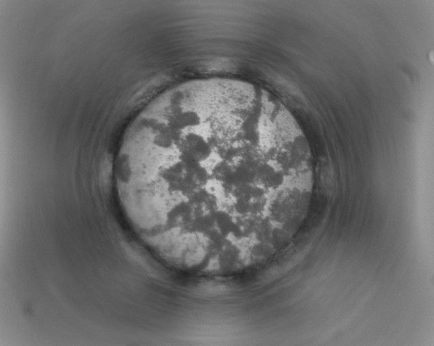 X0000113600550200910161908