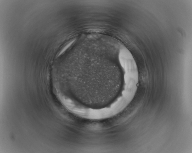 X0000113600551200910161908