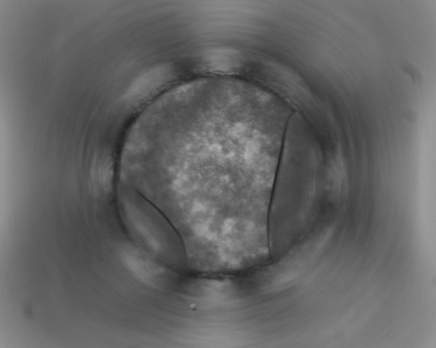 X0000113600552200910161908