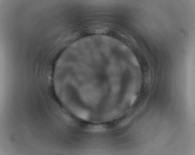 X0000113600553200910161908