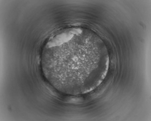 X0000113600555200910161908