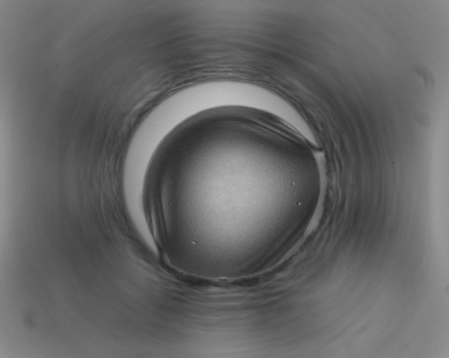 X0000113600556200910161908